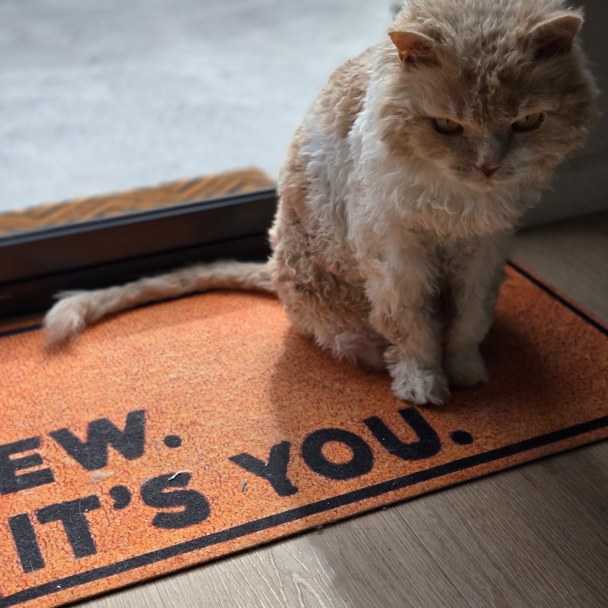 2026-04-14 at 10.45.16 AM.jpg