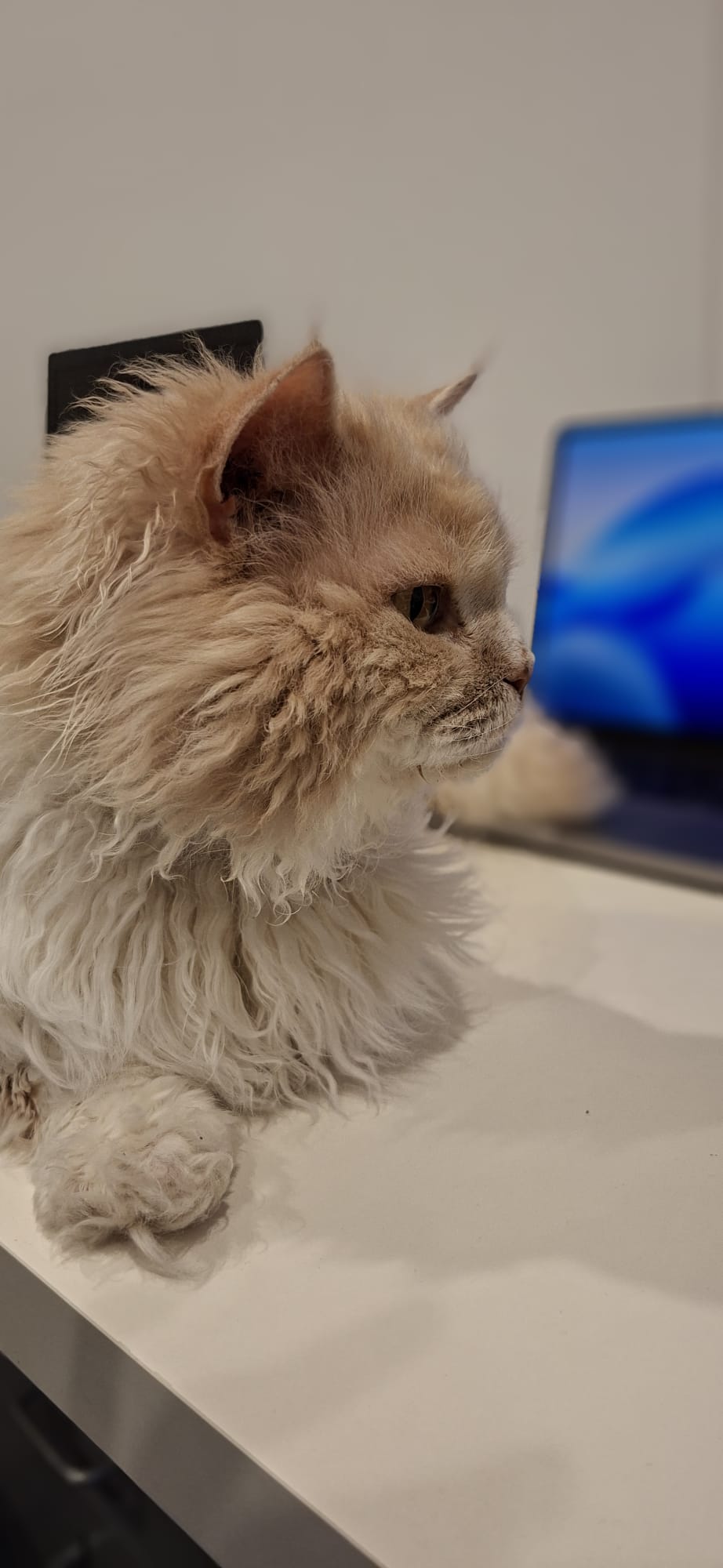 2026-02-20 at 5.18.01 PM.jpg