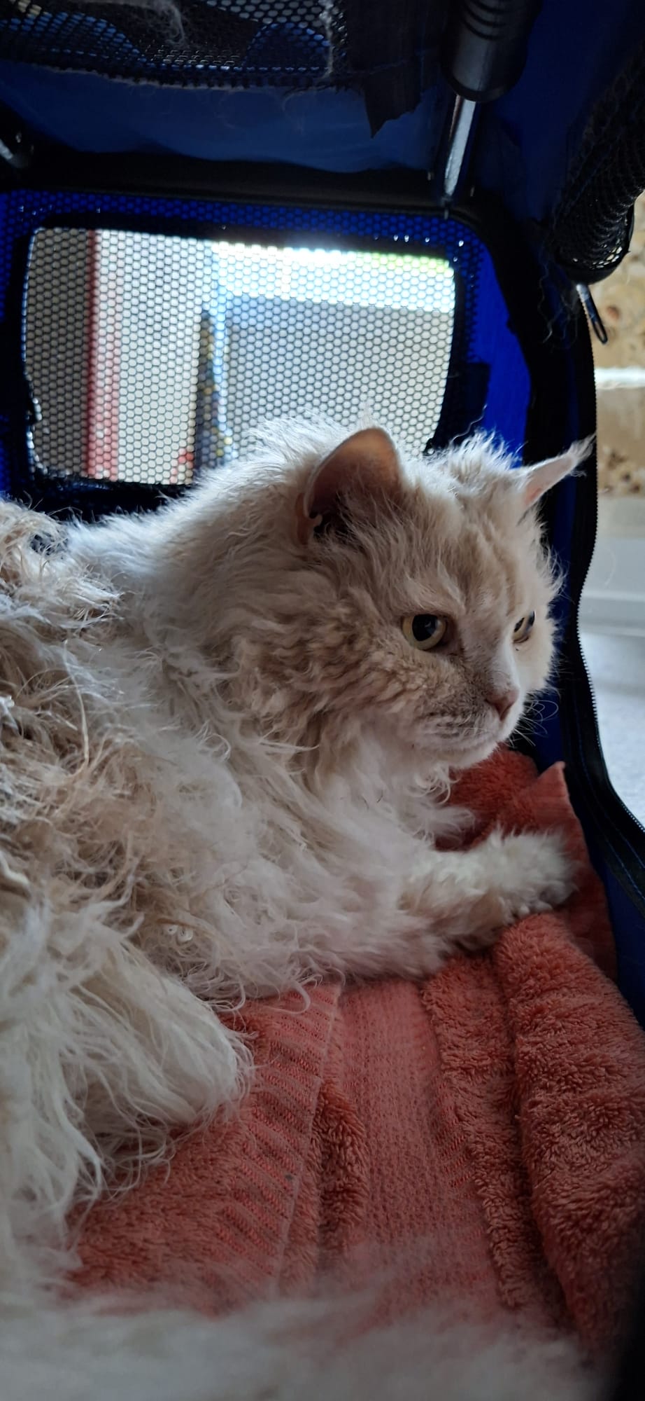 2026-02-24 at 2.45.11 PM.jpg