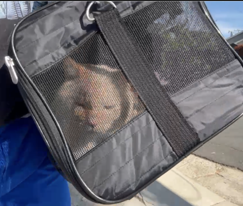 Screenshot 2026-03-03 at 3.52.25 PM.png